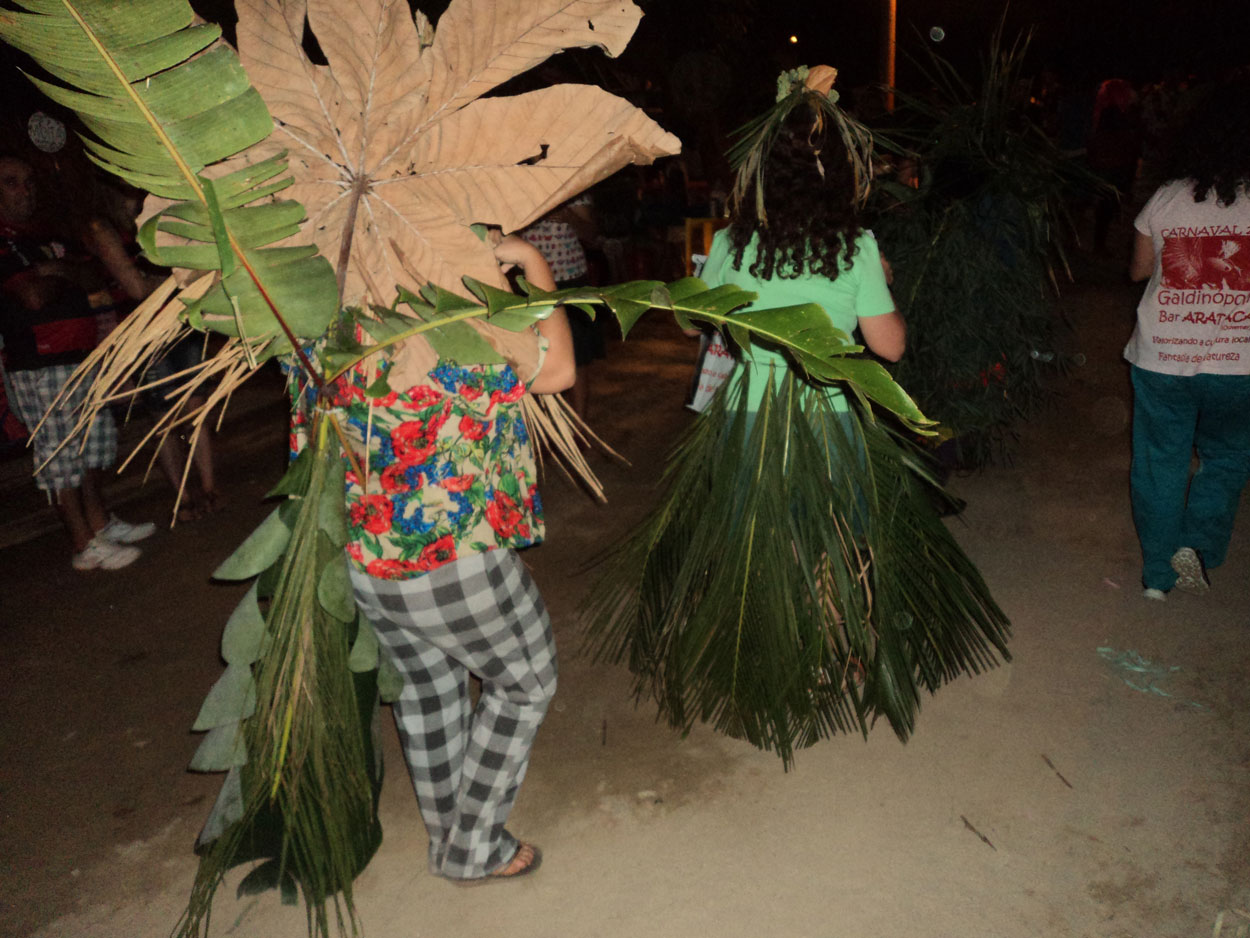 2016-02-08/09 Carneval de Galdi (Foto)